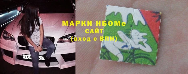 шишки Белоозёрский