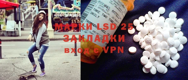 шишки Белоозёрский