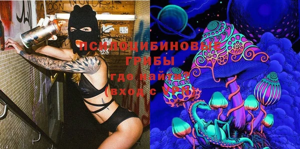 шишки Белоозёрский