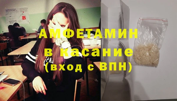 шишки Белоозёрский