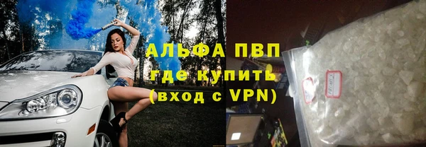 шишки Белоозёрский
