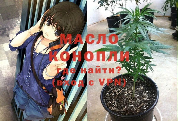 шишки Белоозёрский